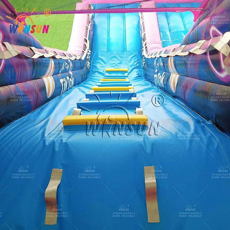 Custom Tiktok Themed Inflatable Slide